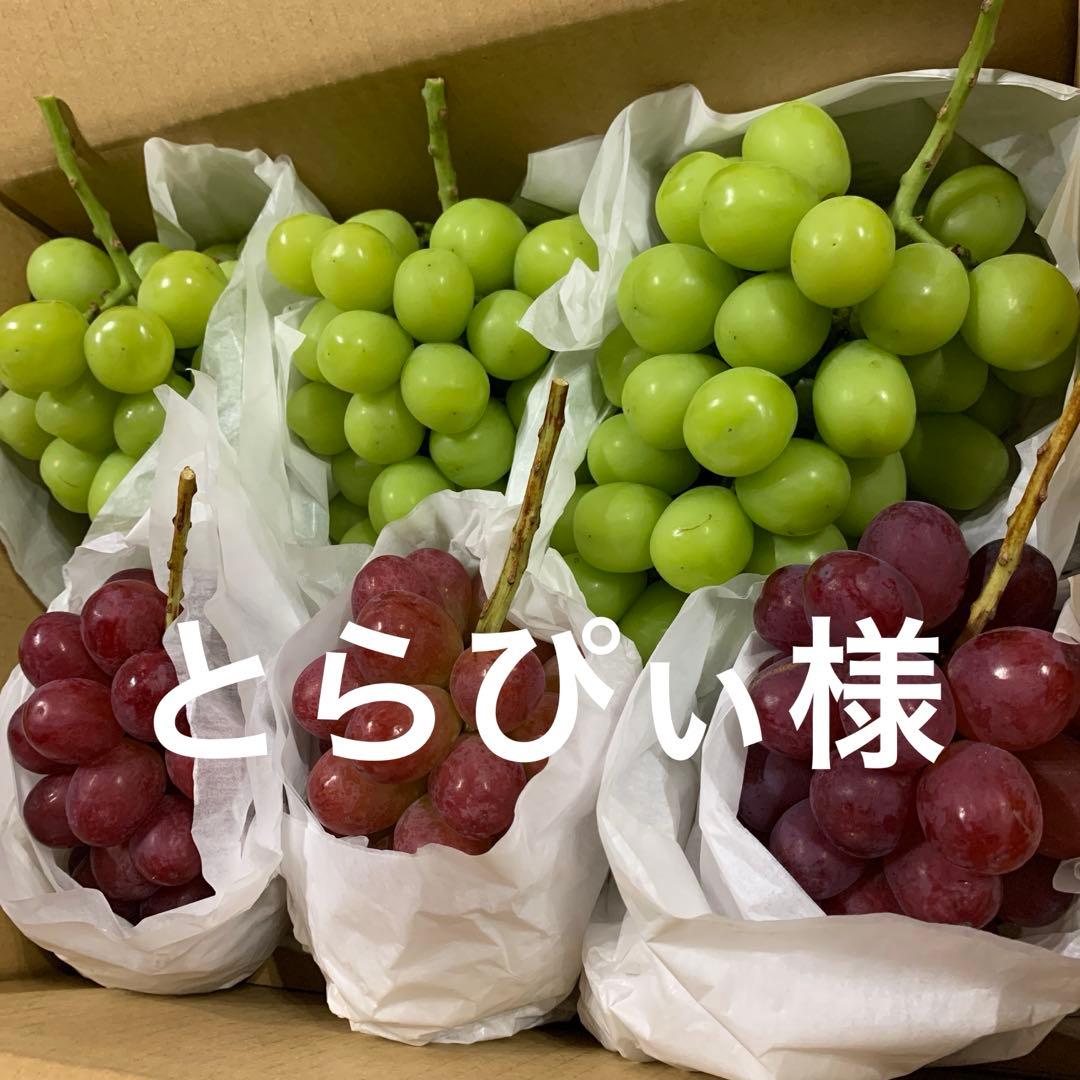 信州　大房シャインマスカット＆希少クイーンルージュ®︎ （3キロ箱）