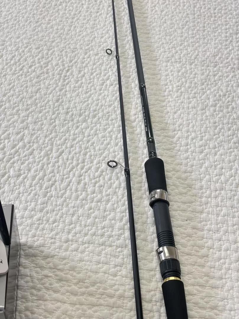 シーバスロッド　リールセット　9f タチウオ　フラットフィッシュ