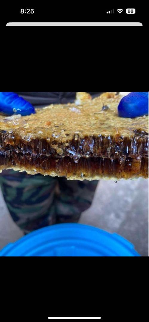 ニホンミツバチ　百花蜜　2,350g