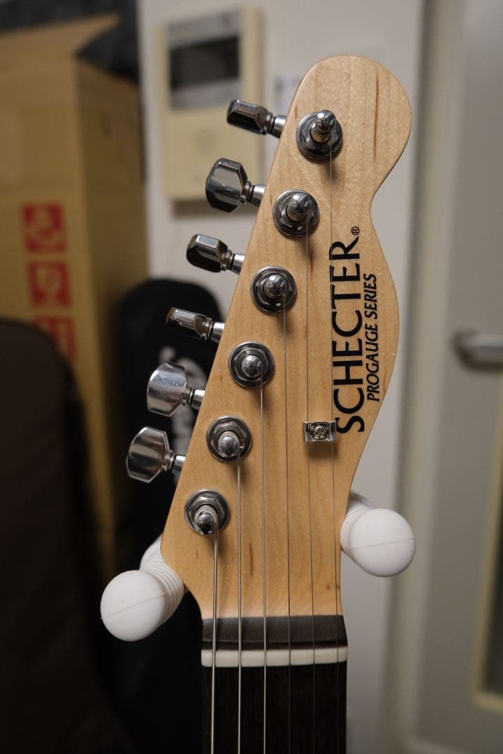 SCHECTER 凛として時雨 TKモデル PA-LS/TK