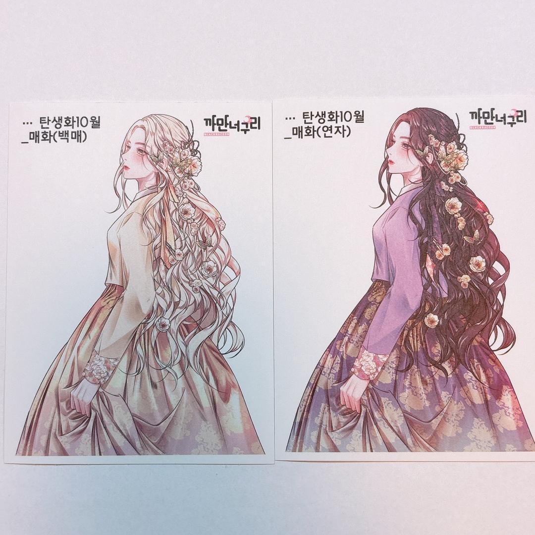 A3.人物ステッカー　韓国作家　黒いたぬき様　セット売り　在庫２セット