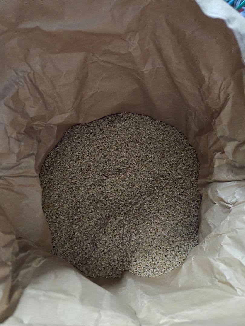 令和6年度 魚沼産コシヒカリ