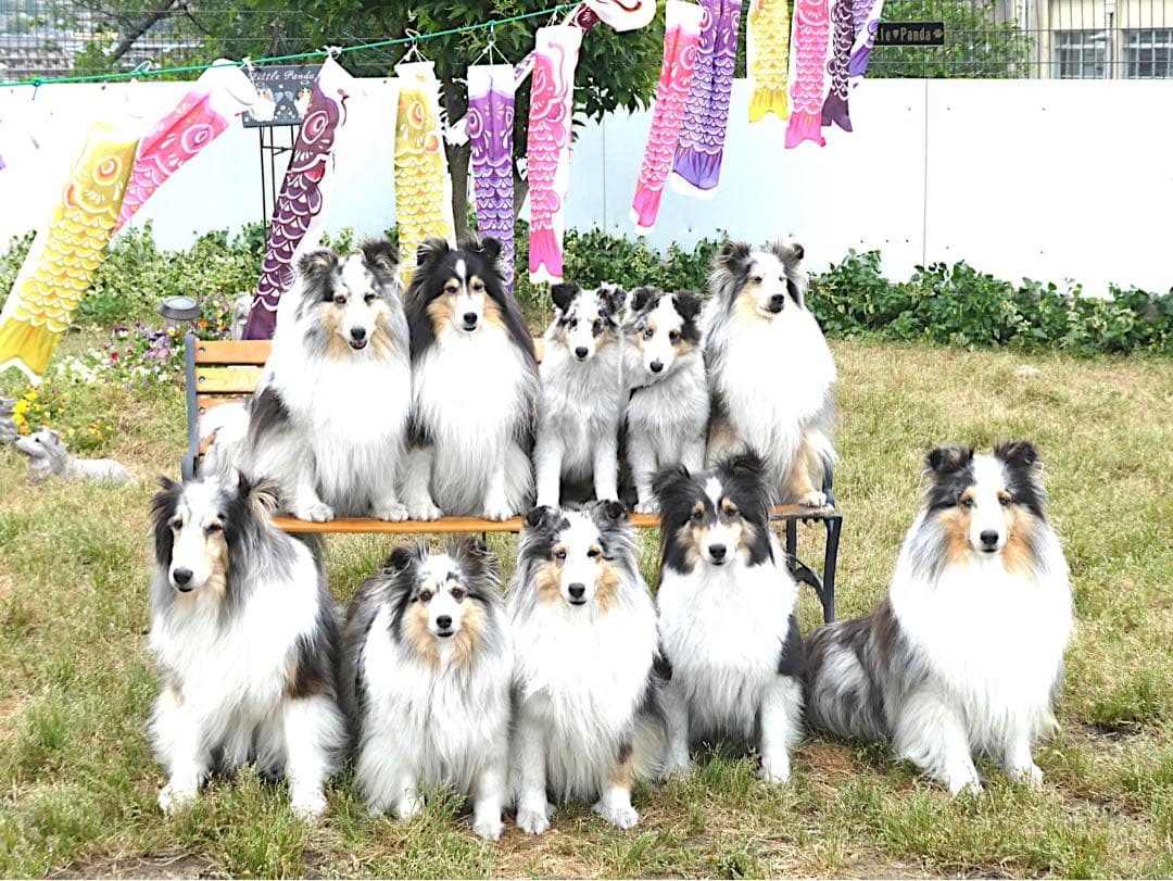 マリメッコ専用画像①②