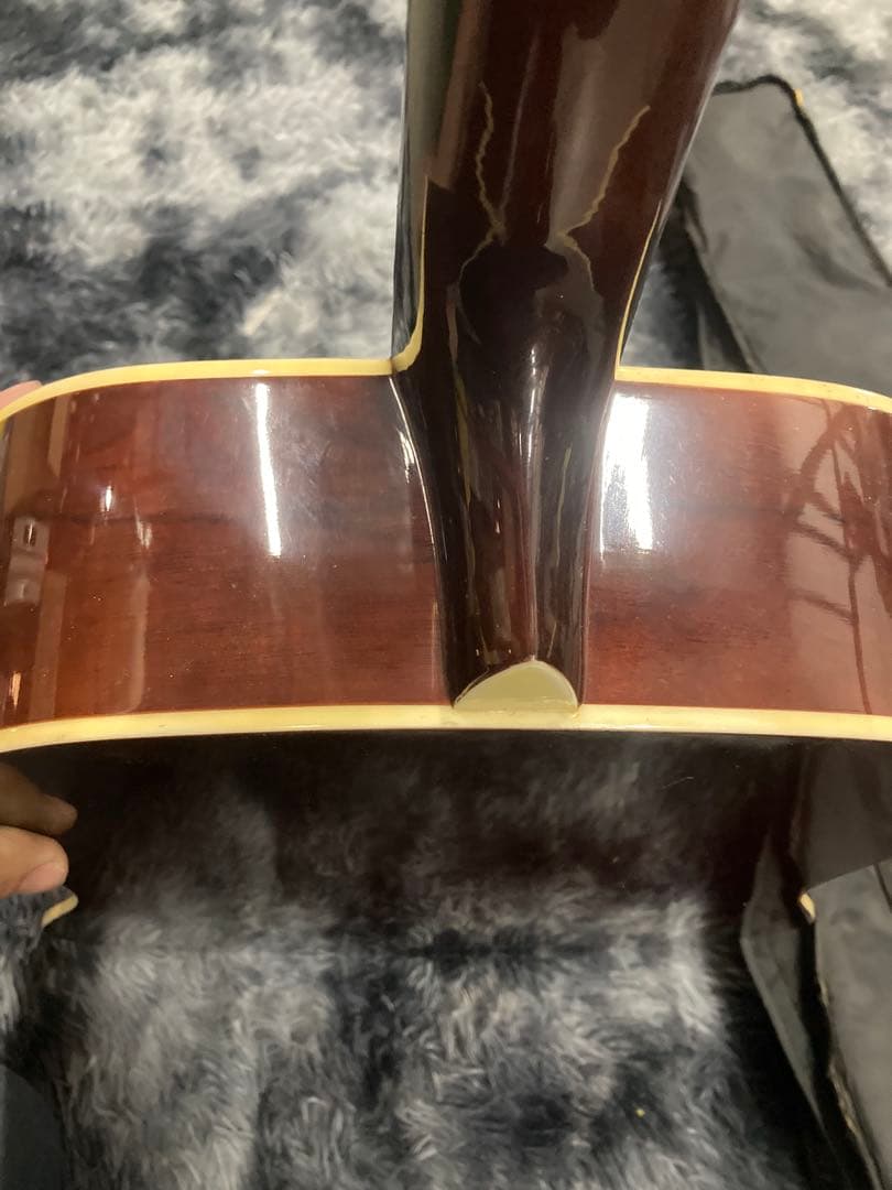 Sepia Crue　W-180E-TS　アコースティックギター