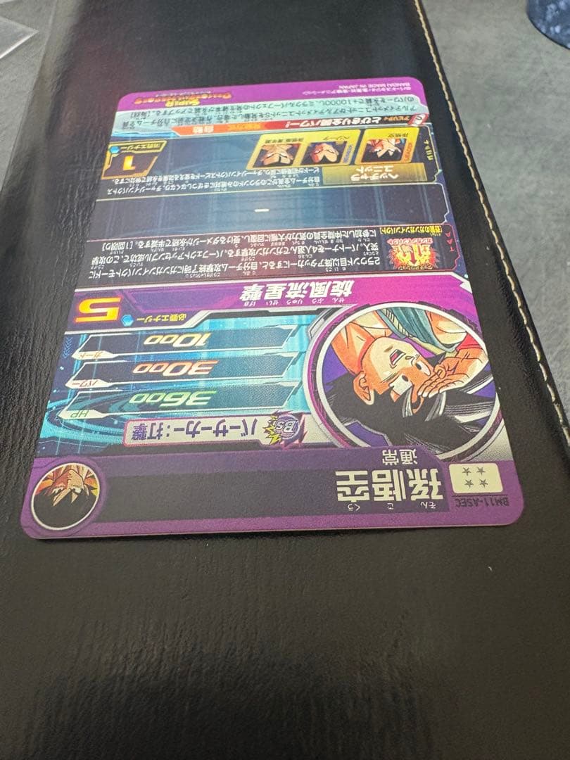 パラバイ悟空 BM11-ASEC