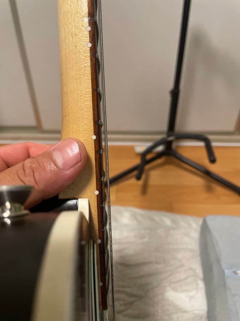 vanzandt TLV-R2 【マダガスカルローズ指板】