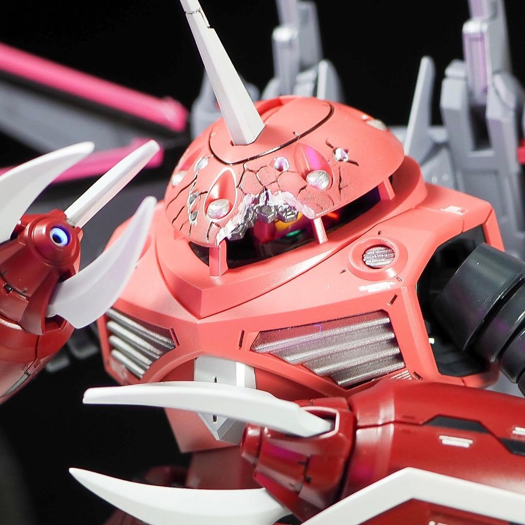 HG 1/144 ズゴック 筋彫り　塗り分け追加　全塗装　完成品　ラスト