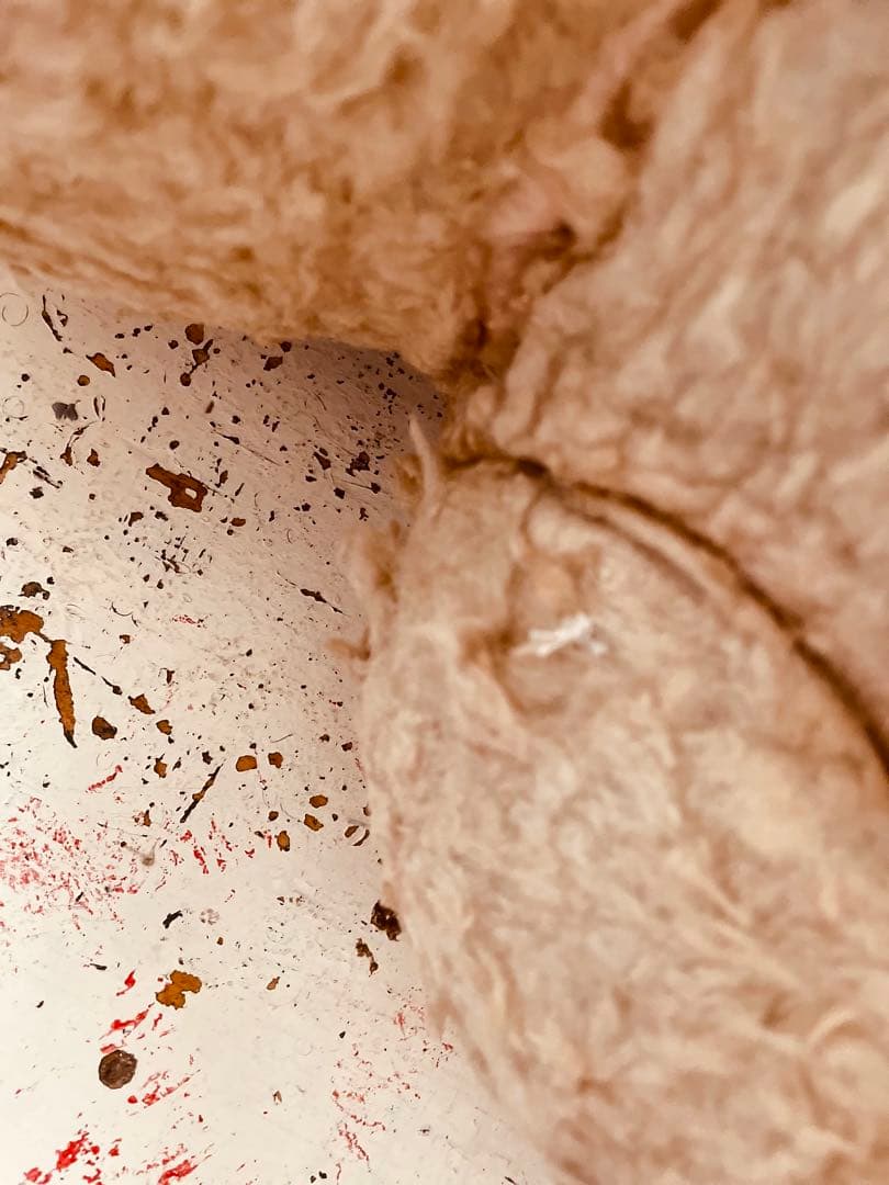 フランス　ヴィンテージベア　モコモコ♡⸝⸝⸝⸝ アンティークベア