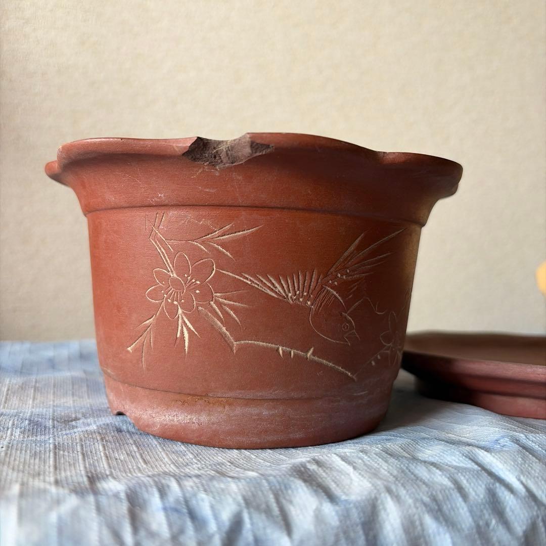 植木鉢　中国宜興　宜興　朱泥　盆栽