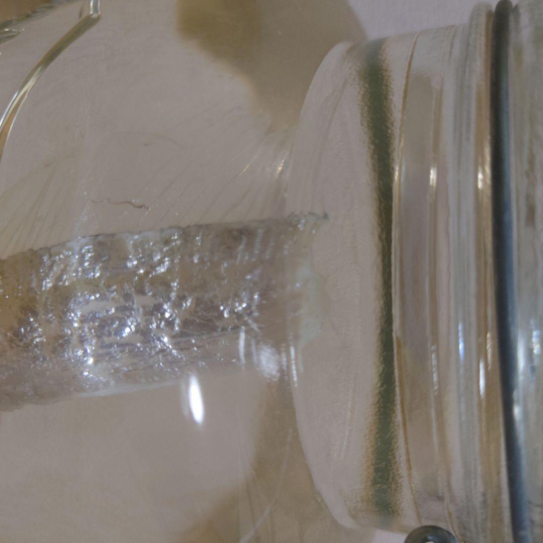 【激レア】リュウグウノツカイ 液浸標本