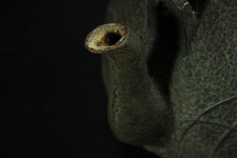 鉄瓶 野草 龍文堂(K-LC590)