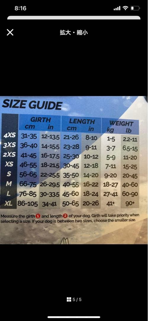 犬用ライフジャケット イエロー/ブラック