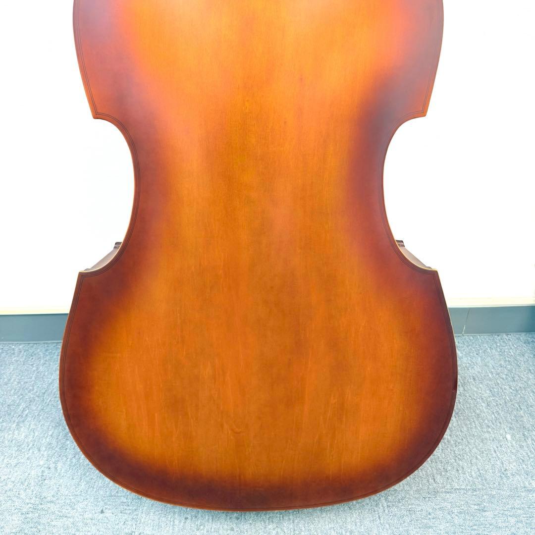 Hallstatt コントラバス WBS-800
