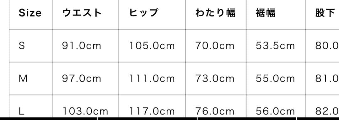 【新品未使用】ヴァッシ ゴアテックス プロ ビッブ　25-26 Mサイズ