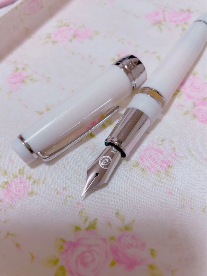 ペントノートオリジナル　しろいはつゆき Ｆ