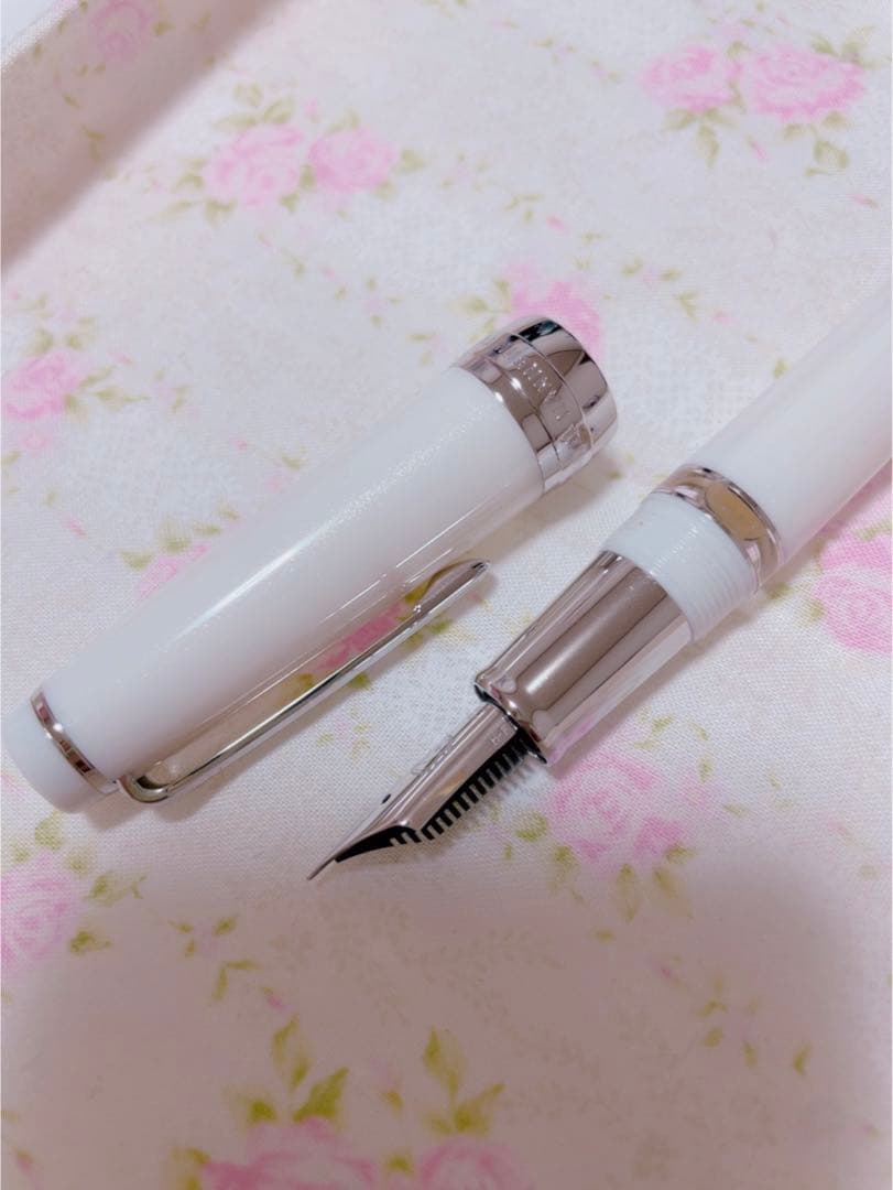 ペントノートオリジナル　しろいはつゆき Ｆ