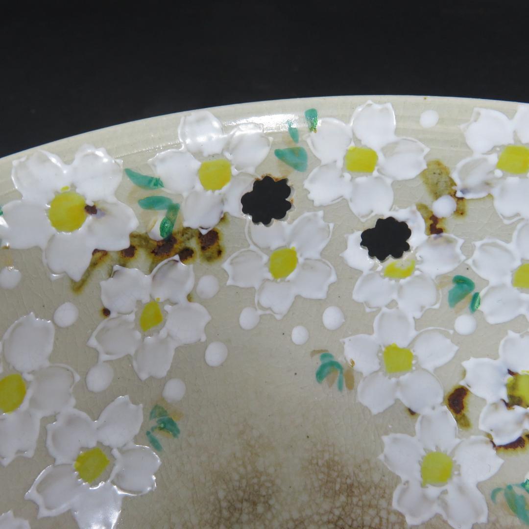 鉢 丼 桜 菊 斉藤武司 大茶碗 雲楽 木箱 共箱