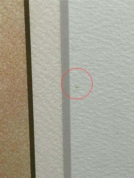 Y【中古品】アルフォンス・ミュシャ 　バラ　ローズ　　薔薇　額縁