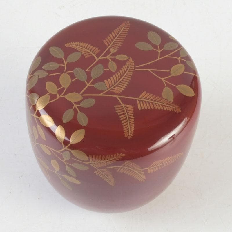 茶道具　朱塗　花草蒔絵　棗　時代箱付　V　9692