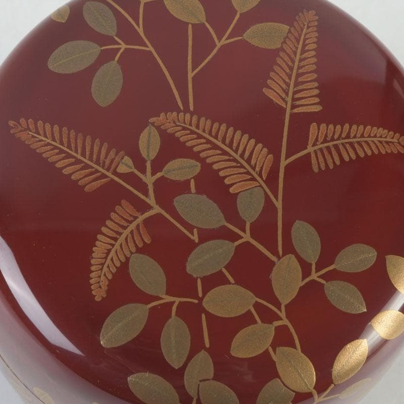 茶道具　朱塗　花草蒔絵　棗　時代箱付　V　9692