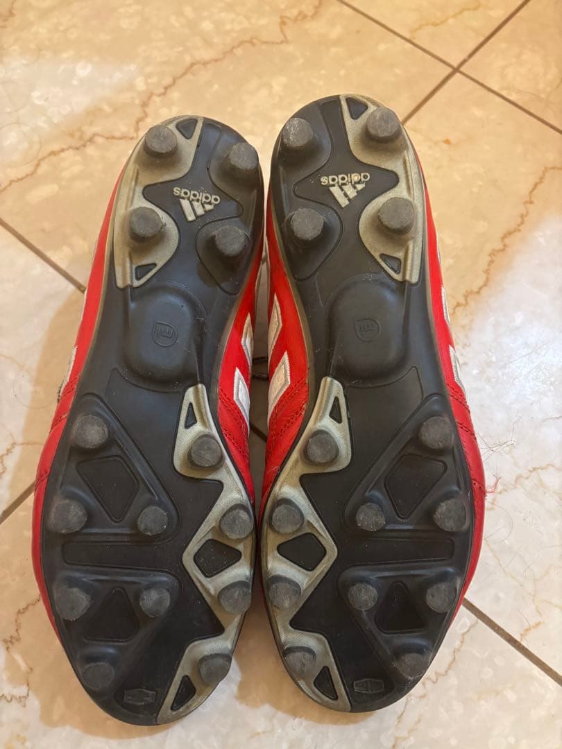 パティーク　グローロ