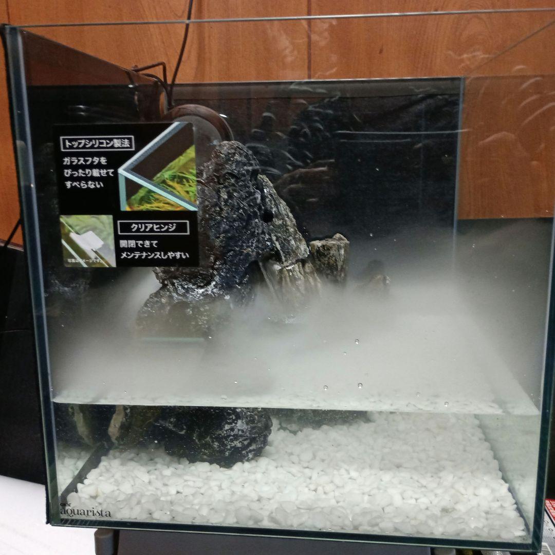 滝の流れるアクアリウム