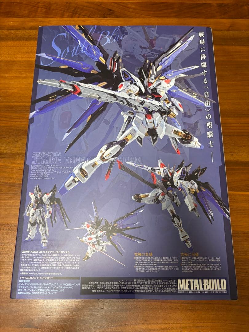 専用GNアームズTYPE-EストライクフリーダムガンダムSOULBLUE＆光の翼