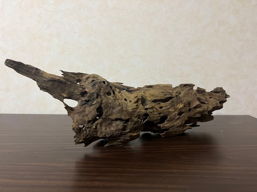 XM-456 流木　マシンガンウッド　アクアリウム　ブランチウッド　沈水確認済