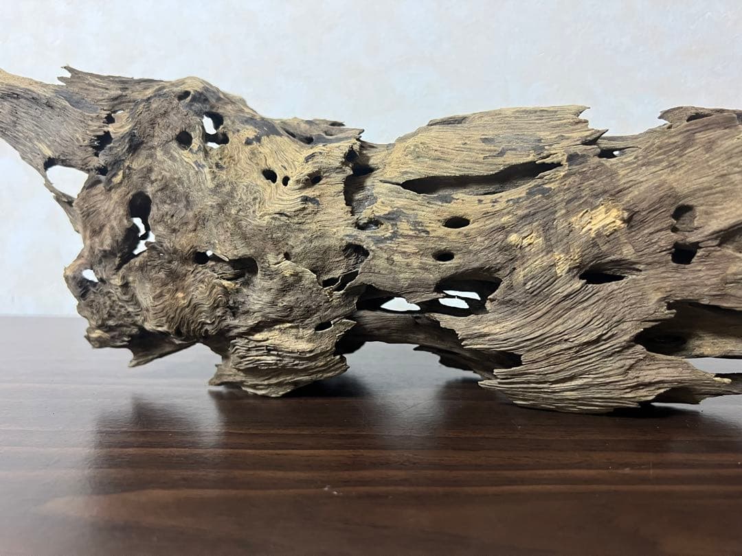 XM-456 流木　マシンガンウッド　アクアリウム　ブランチウッド　沈水確認済