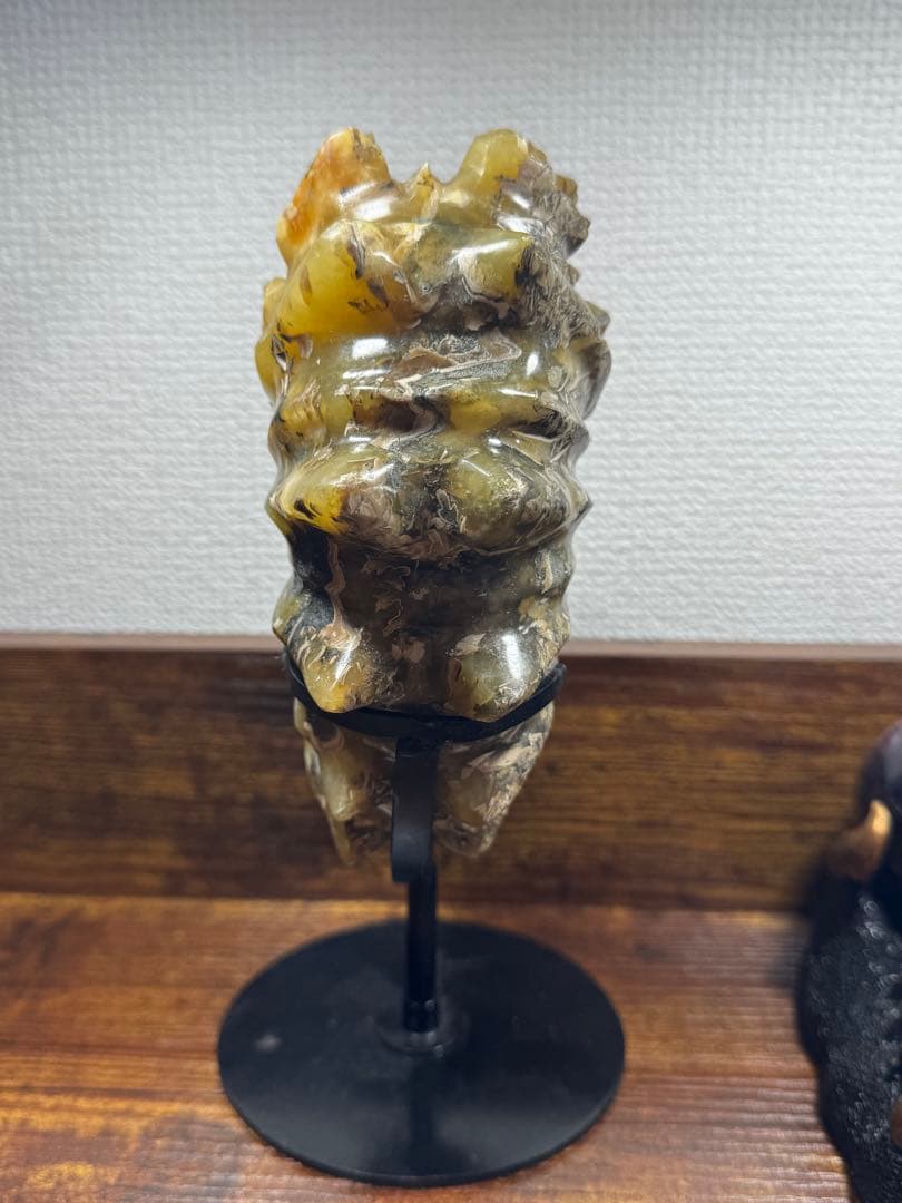 マダガスカル産 アンモナイト 化石 鉱物標本