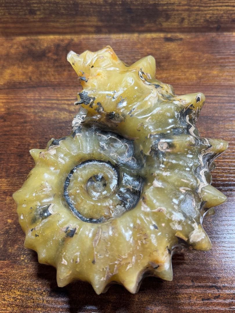 マダガスカル産 アンモナイト 化石 鉱物標本