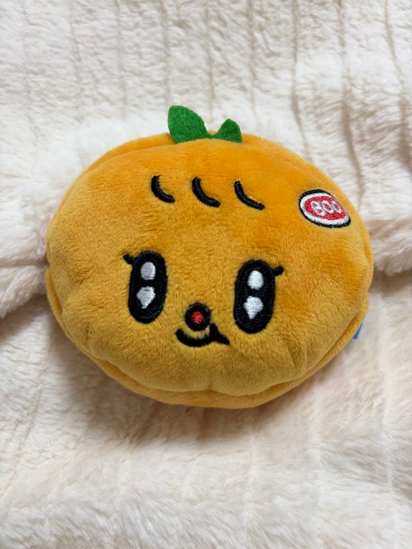 SEVENTEEN MINITEEN ミニティーン スングァン　ポーチ