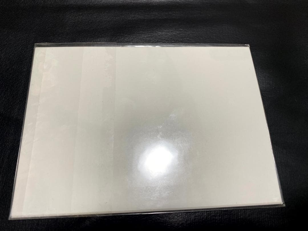 【未開封品】BAND-MAID KANAMI 歌波 生写真