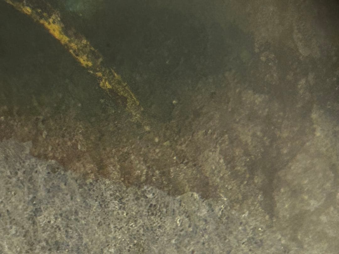 期間限定値下げ　処分価格　大倉雨村　「南天」