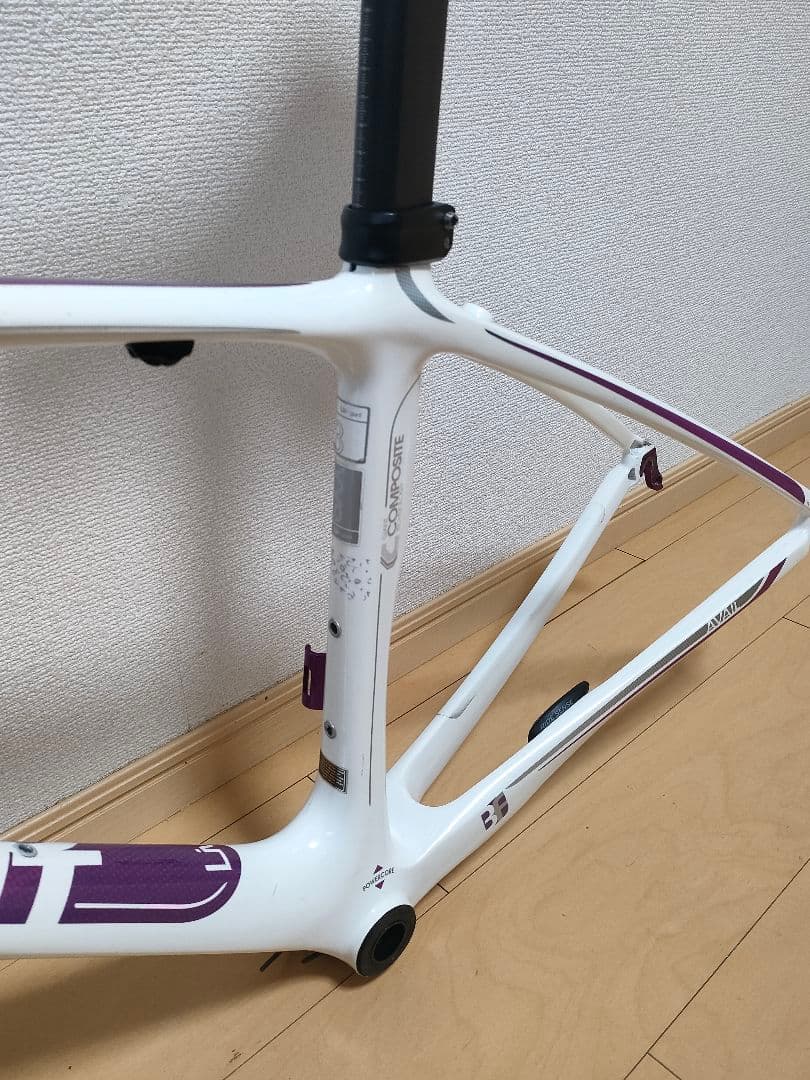 GIANT Liv フルカーボン ロードバイク フレーム xxs 女性/キッズ