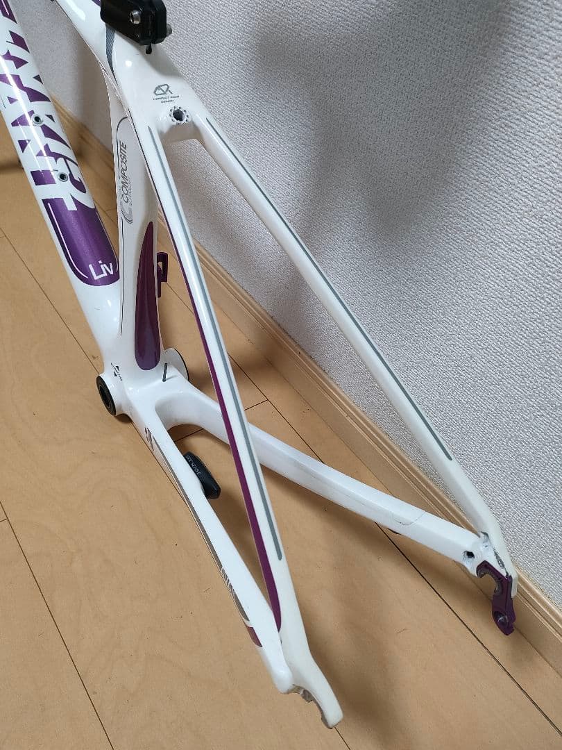 GIANT Liv フルカーボン ロードバイク フレーム xxs 女性/キッズ