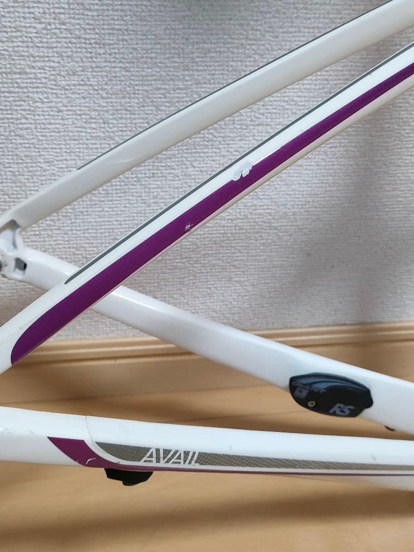 GIANT Liv フルカーボン ロードバイク フレーム xxs 女性/キッズ