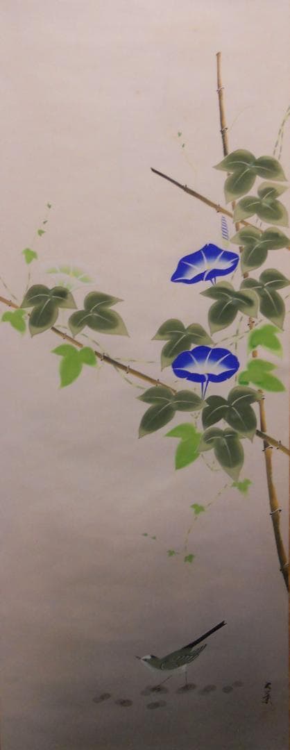 掛け軸 都路五葉 朝顔に小禽 絹本 希少 軸装 茶道具 掛軸 美品 です。