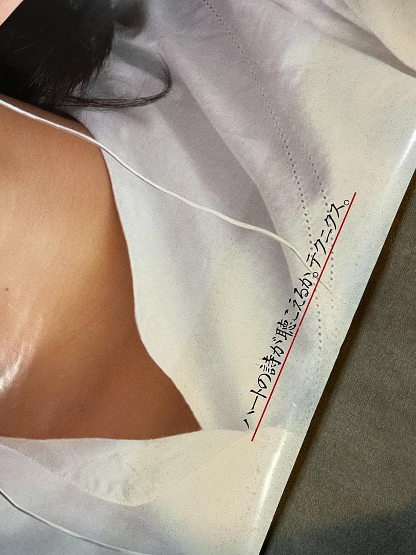 薬師丸ひろ子 ポスター テクニクス