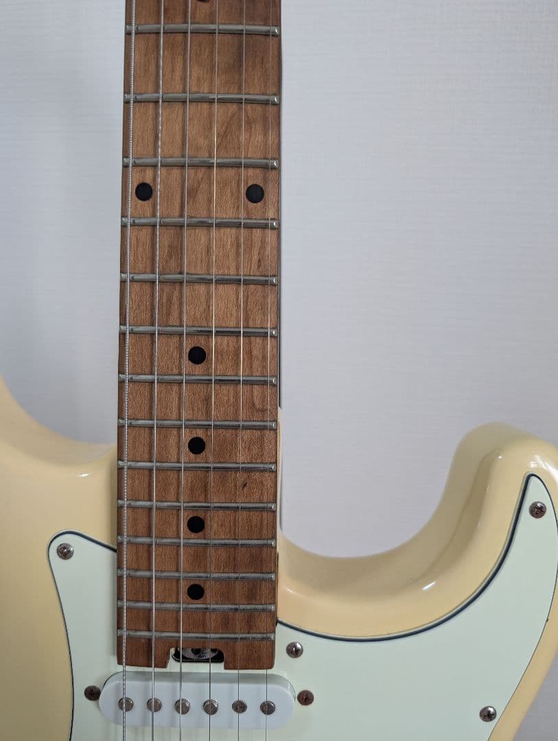 動作良好　Bacchus バッカス BSH-STD25 RSM