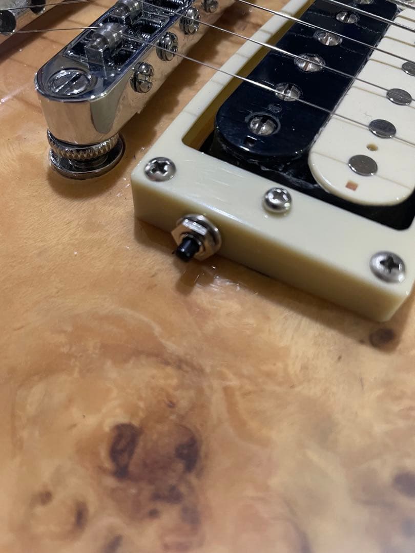 【中古美品】Bacchus レスポールBL-P BP/R BD-Bフルカスタム