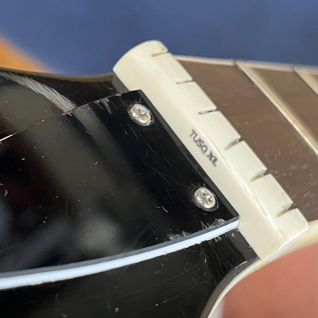 【中古美品】Bacchus レスポールBL-P BP/R BD-Bフルカスタム