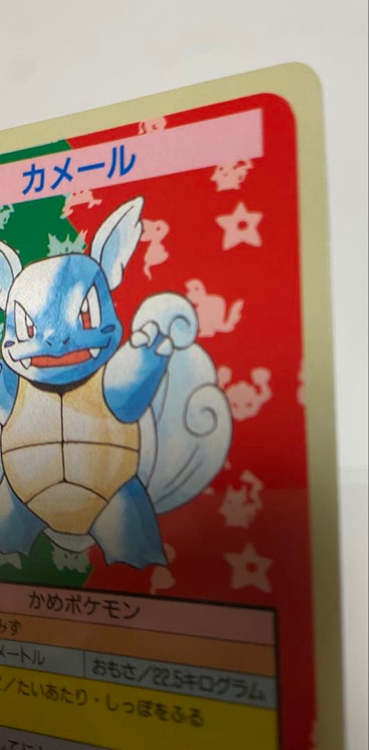 ポケモンカード トップサン エラー ナンバーレス 裏青 カメール