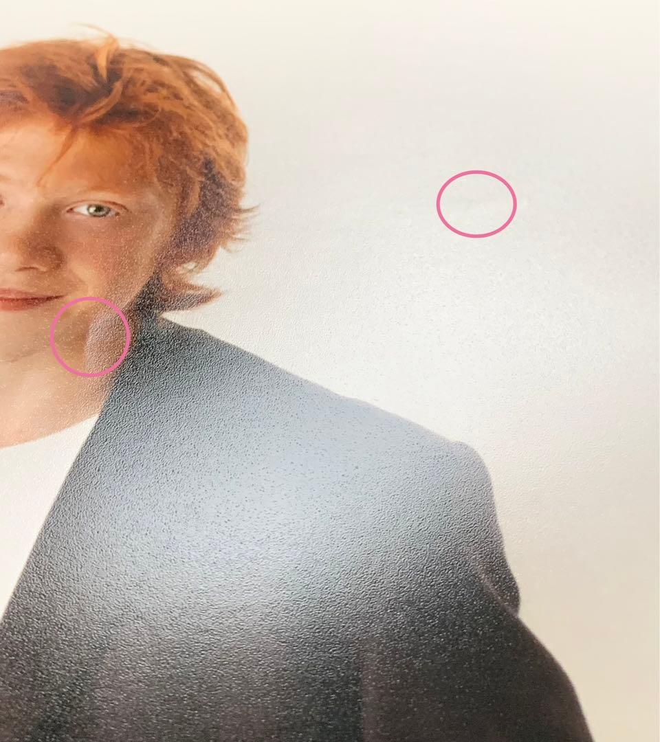 Harry Potter ロン役「ルパート・グリント」サイン入りポートレート写真