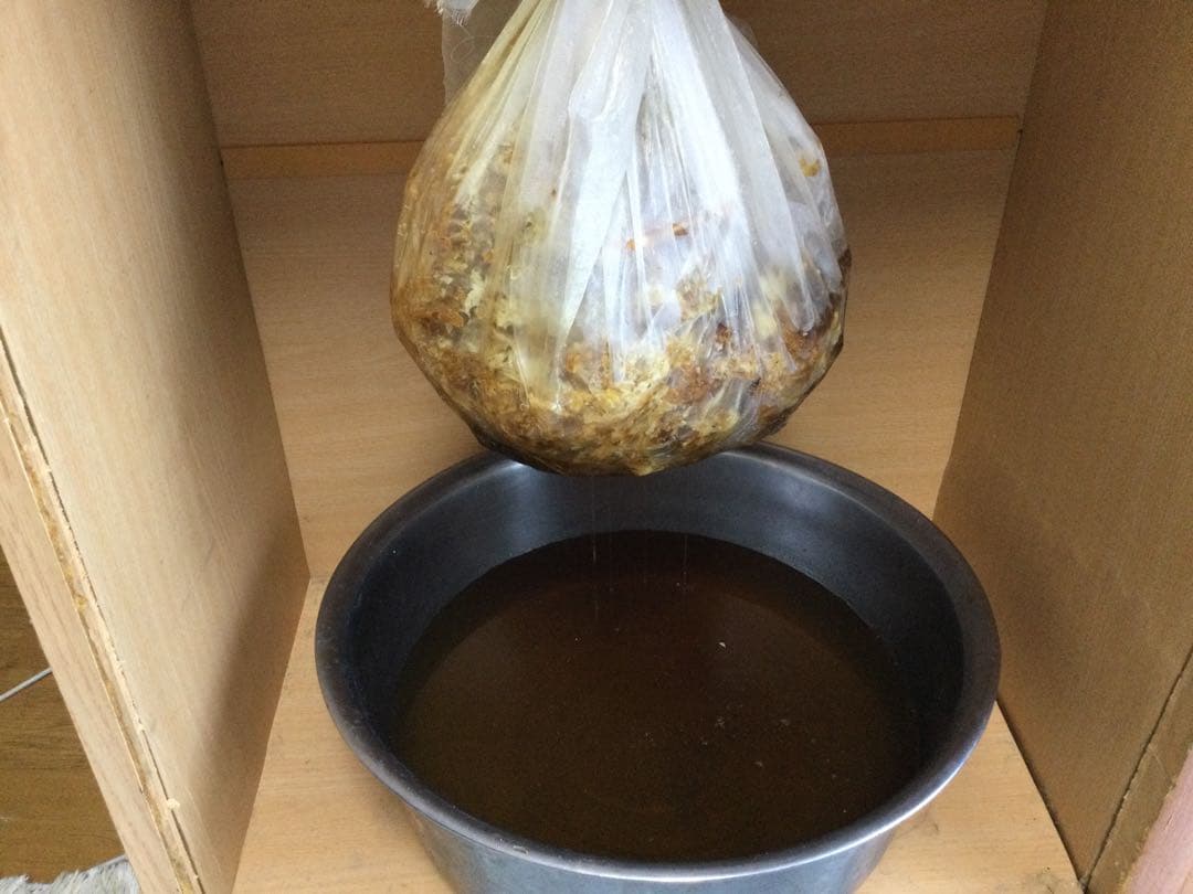 日本ミツバチ純粋垂れ蜜　無添加　非加熱　440g 3個