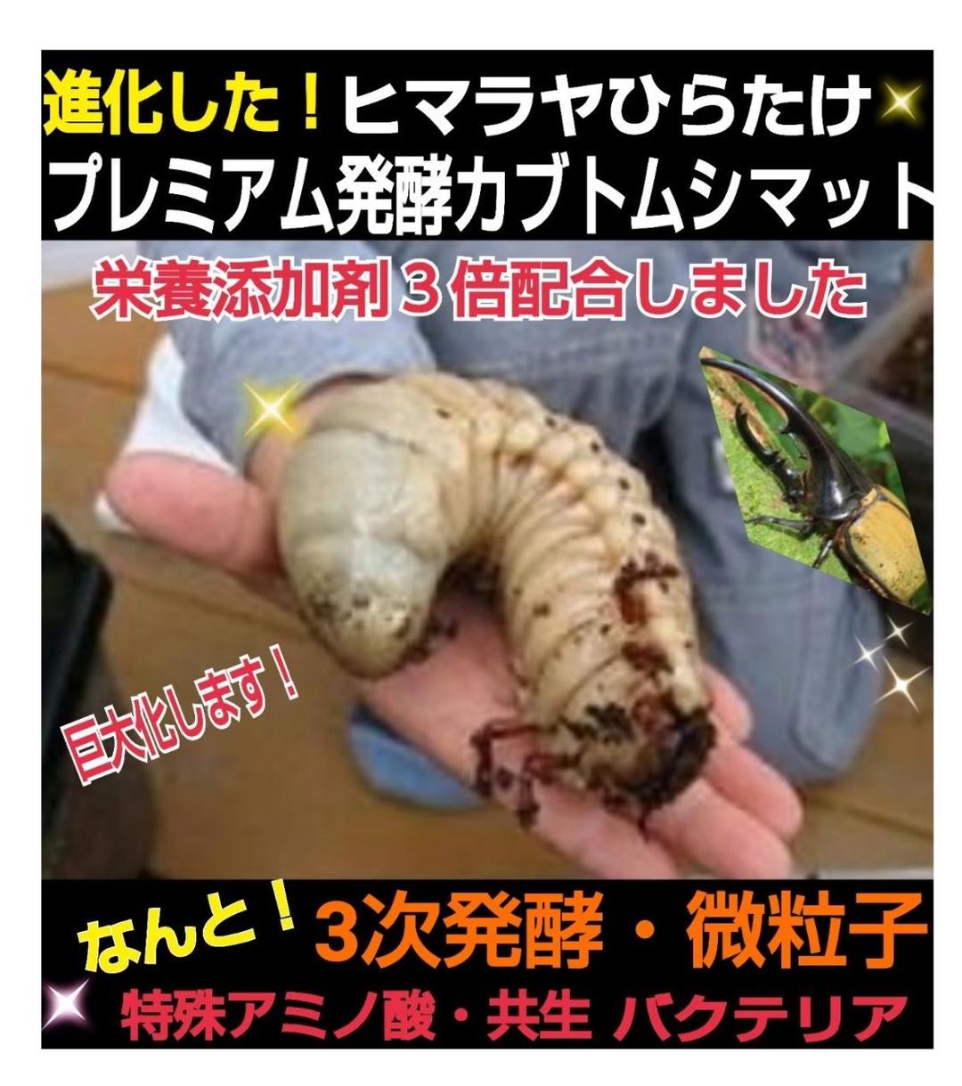 極上！プレミアム3次発酵カブトムシマット【50リットル】特殊アミノ酸強化配合！