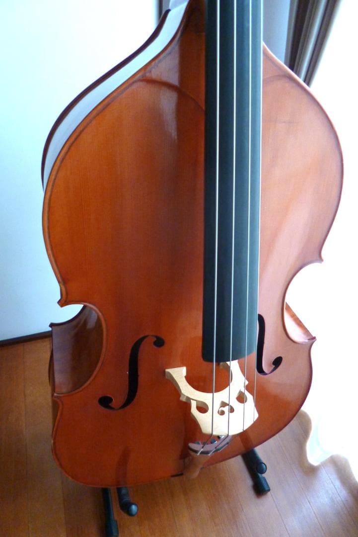 【sk12 様 引取限定】カルロ・ジョルダーノ SB-300M（ケース不要）