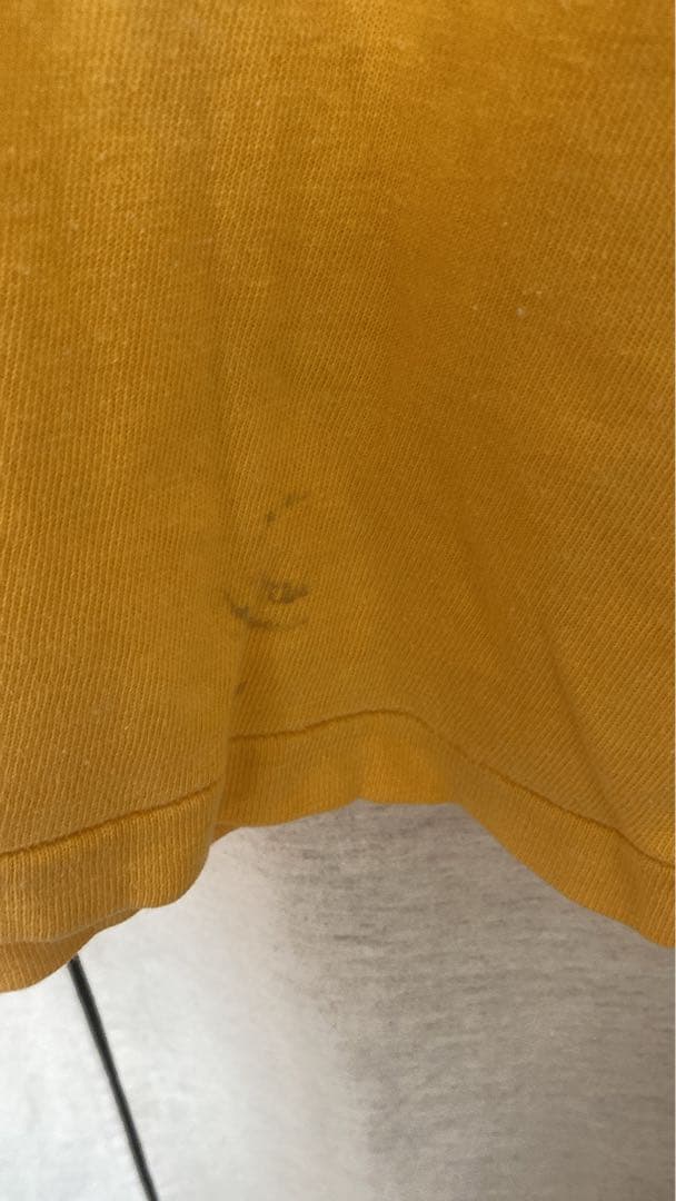 チャンピオン　ナンバリング