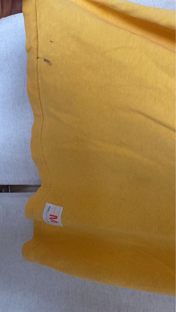 チャンピオン　ナンバリング