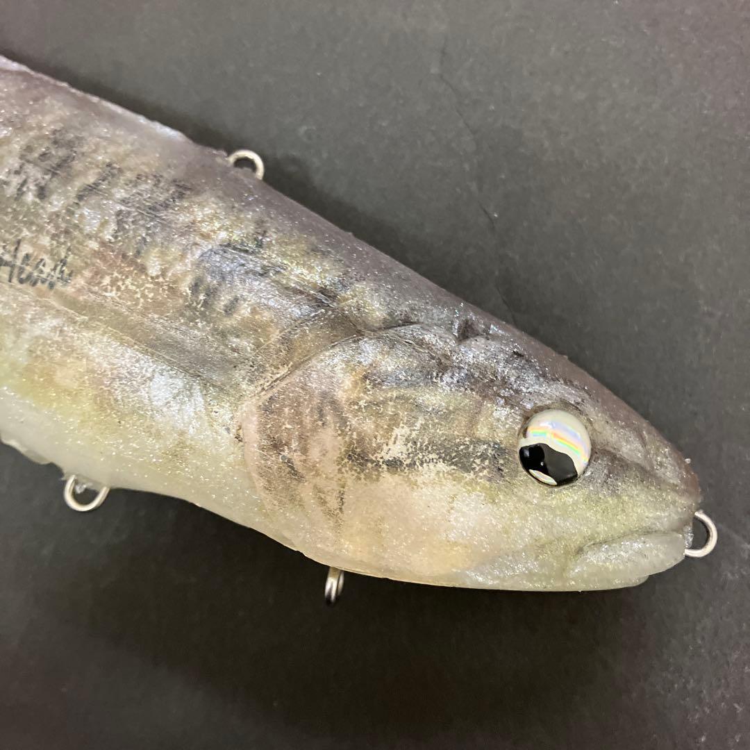 【激レア】　シグナル　カープヘッド　スモールマウス　生カラー